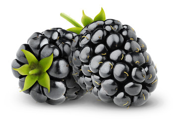 Two isolated blackberries on white with clipping path