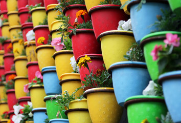 Multicolor pots with flowers