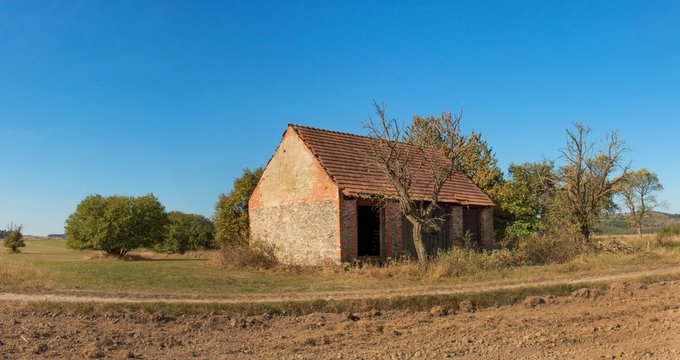 Panorama rural landscape. Old barn and tree against blue sky background. Abandoned farm buildings with weathered wall.
