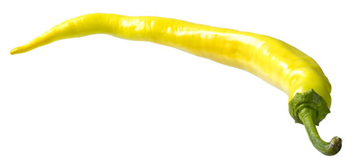 Single organic yellow pepper isolated on white