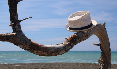 cappello appeso su un ramo vicino al mare