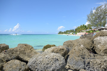 Busy Day at the Beach