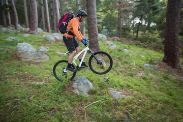 Male mountain biker riding bicycle in the forest