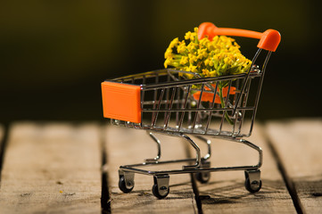 Miniature shopping trolley sitting on wooden surface with bouquet of yellow flowers inside it,...