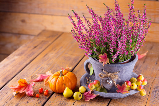 Autumn decoration with erica and pumpkin on old rustic wood