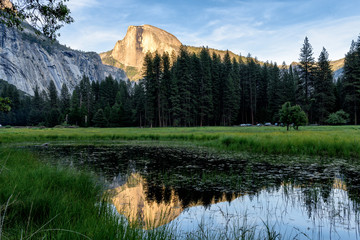 Reflection of half dome in pool of water in Yosemite National Park