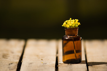 Small brown medicine bottle for magicians remedy, yellow flowers placed inside, sitting on wooden...