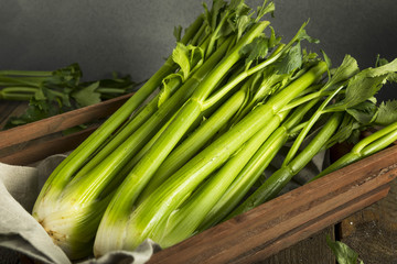Obraz premium Raw Organic Green Celery Stalks