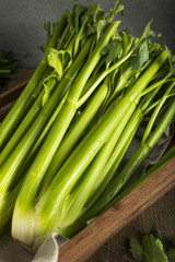 Raw Organic Green Celery Stalks