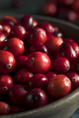 Raw Organic Red Cranberries