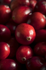 Raw Organic Red Cranberries