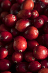 Raw Organic Red Cranberries
