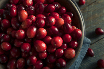 Raw Organic Red Cranberries