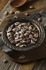 Raw Dry Organic Christmas Beans