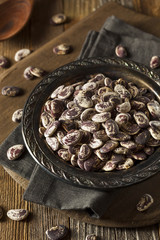 Raw Dry Organic Christmas Beans