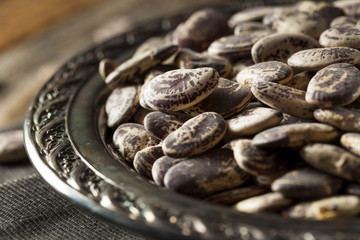 Raw Dry Organic Christmas Beans