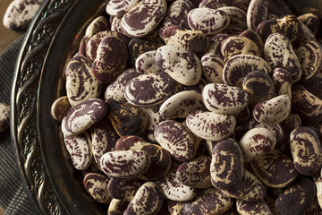 Raw Dry Organic Christmas Beans