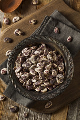 Raw Dry Organic Christmas Beans