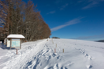 Winterlandschaft