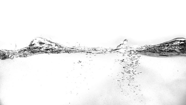 Water waves on a white background