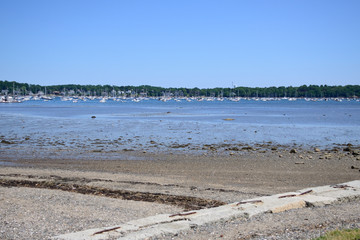 Low Tide At Bay