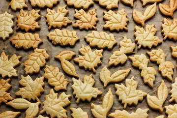 Cookies for Halloween