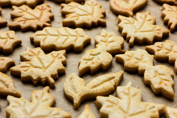 Cookies for Halloween