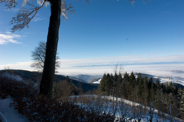 Winter im Schwarzwald