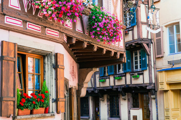 Fototapeta na wymiar Charming floral streets of Strasbourg old town. France, Alsace