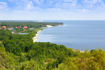 Wood and sandy coast. Kaliningrad, Russia