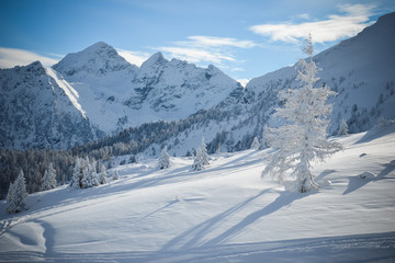 Obraz premium Beautiful view of the snow-covered spruce and mountains in winter