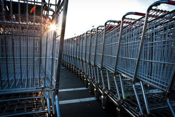 shopping carts © Tim De Frisco