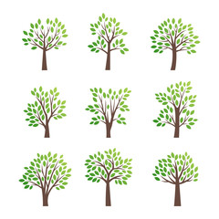 Fototapeta premium Stylized vector tree logo icon