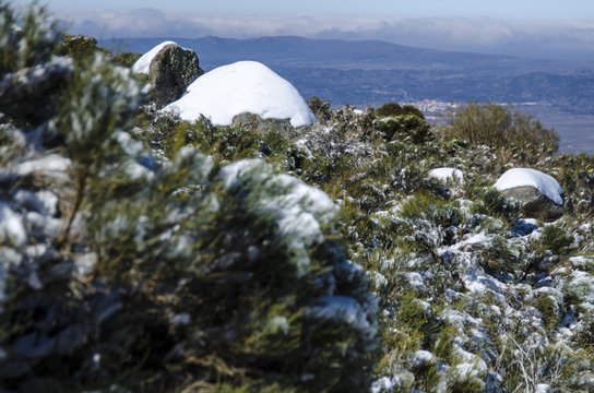 NIEVE EN LA MONTA&Ntilde;A VACACIONES INVIERNO ESQUI LIBRE