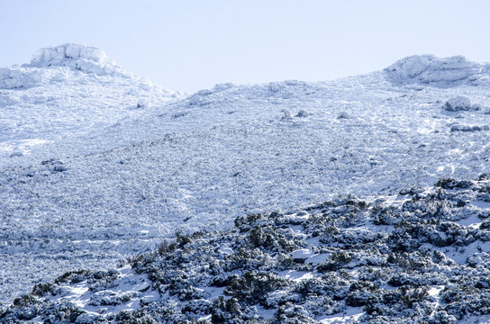 NIEVE EN LA MONTA&Ntilde;A VACACIONES INVIERNO ESQUI LIBRE