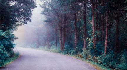 Fototapeta premium End of the Road