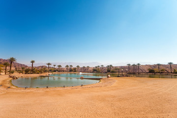Fototapeta na wymiar The Timna Lake - Oasis in Timna park, Israel