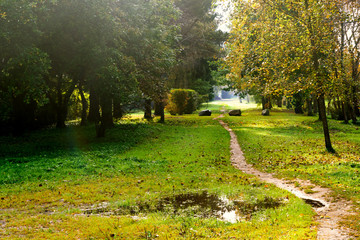 Path in the autumn park.