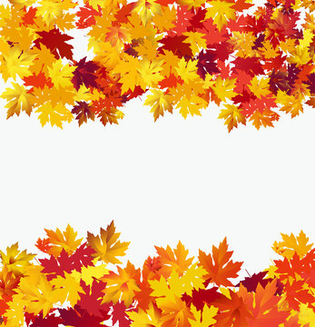 Autumn background with maple leaves against white background. Vector Illustration
