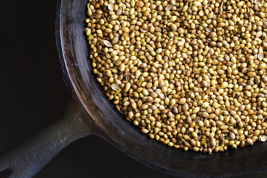 Close up of a cast iron skillet with coriander seeds, Calgary, Alberta, Canada