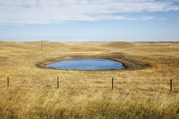 A field with a watering hole,Saskatchewan canada