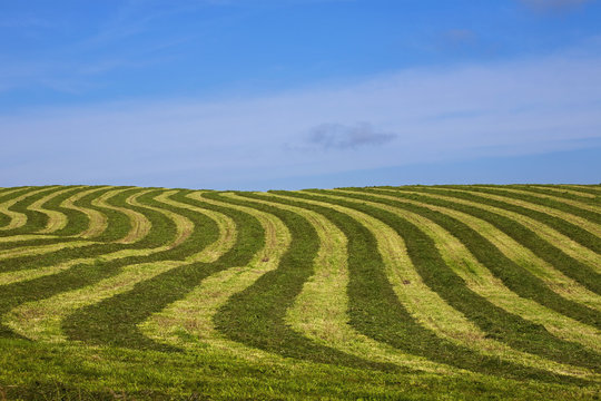 Hay Field With Geometric Pattern, Compton, Quebec, Canada