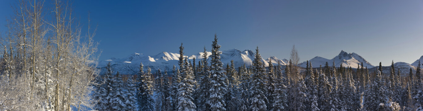 Chugach Mountains and spruce forest in winter, Anchorage, Alaska, USA
