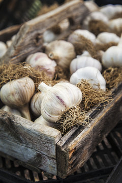 Basket of organic garlic at a farmers market, Milford, Ontario, Canada