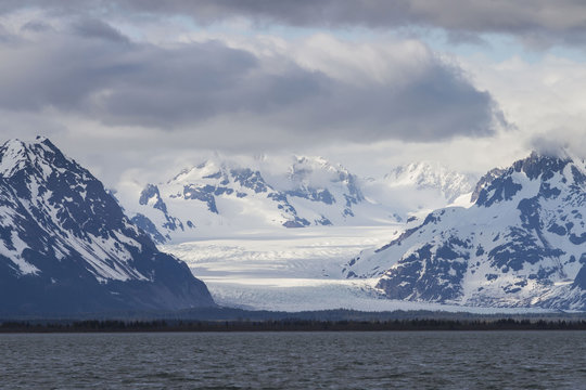 A view of sheridan glacier and the chugach mountains with blue sky and white clouds from the copper river flats;Cordova alaska united states of america