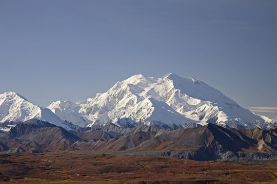 View Of Mt.Mckinley On A Clear Day From Eielson Visitor Center With Fall Colors Surrounding The Snow Covered Mountains, Denali National Park, Interior Alaska, Autumn/N