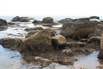 Rocks in the Ocean