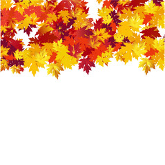 Autumn background with maple leaves 