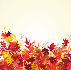 Colorful autumn leaves, vector background