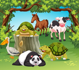 Wild animals in the field